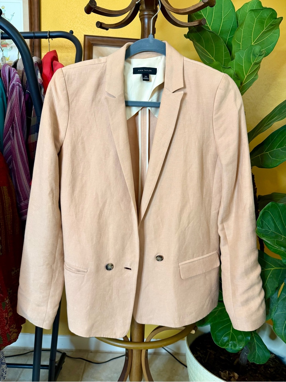 Ann Taylor Blazer